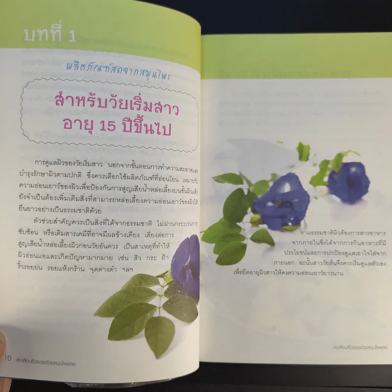 ลดเลือนริ้วรอยด้วยสมุนไพรสด รูปที่ 13