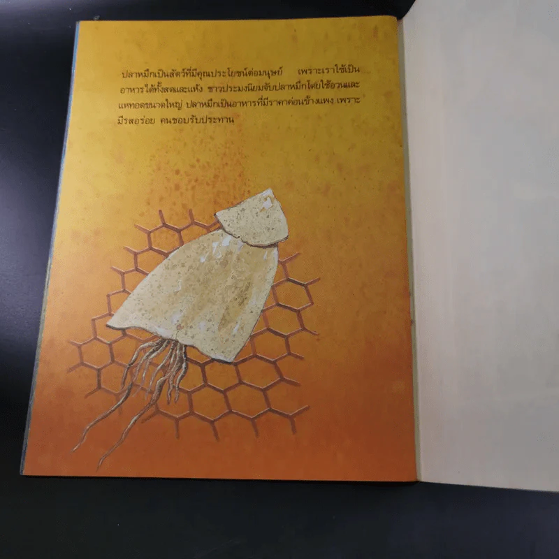 หนังสือเสริมความรู้ชุดธรรมชาติสัตว์ ปลาหมึก รูปที่ 11