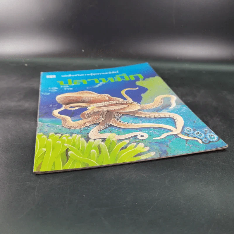 หนังสือเสริมความรู้ชุดธรรมชาติสัตว์ ปลาหมึก รูปที่ 4
