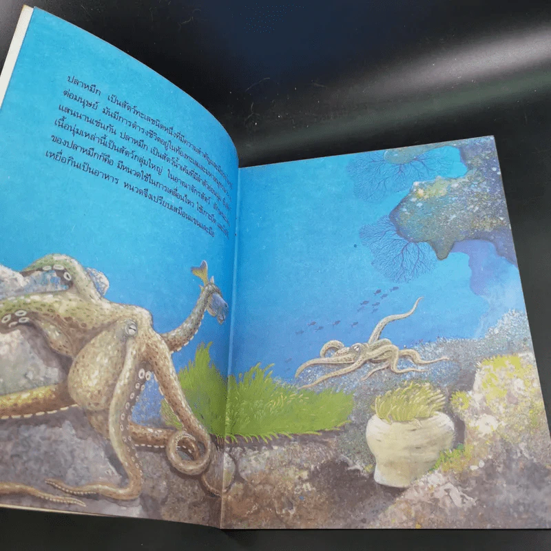 หนังสือเสริมความรู้ชุดธรรมชาติสัตว์ ปลาหมึก รูปที่ 9
