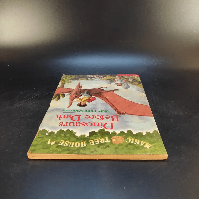 Magic Tree House#1 Dinosaurs Before Dark รูปที่ 6