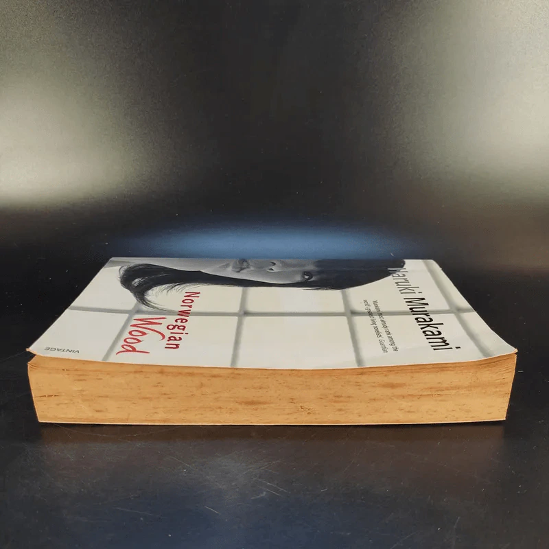 Norwegian Wood - Haruki Murakami รูปที่ 5
