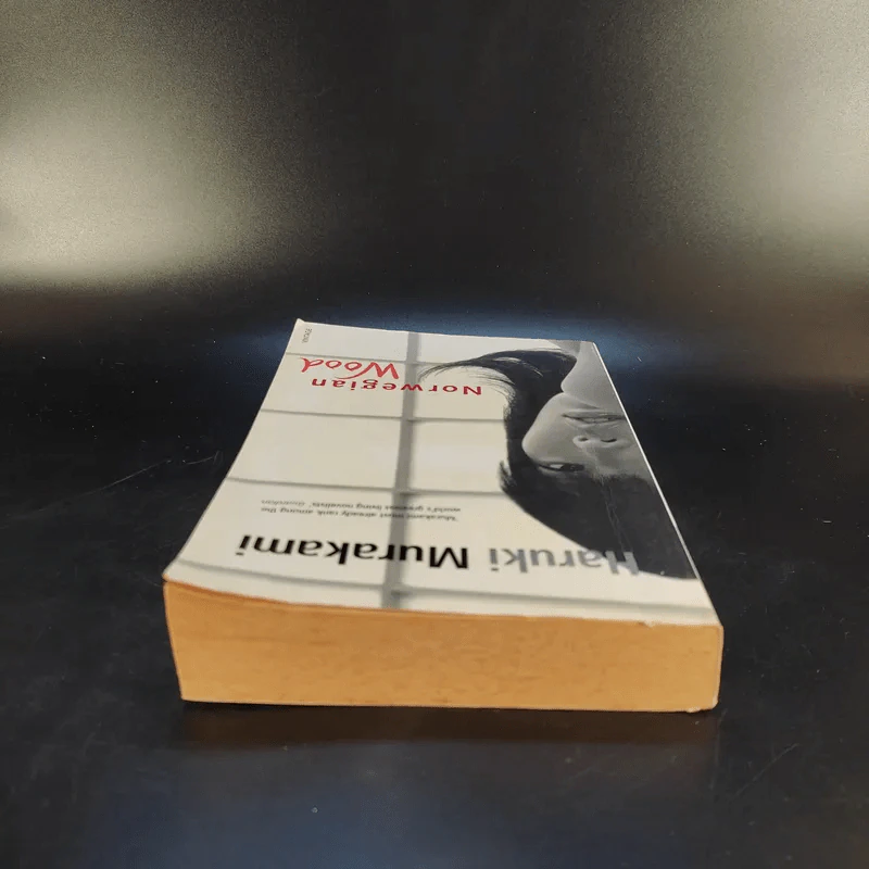 Norwegian Wood - Haruki Murakami รูปที่ 6