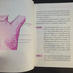 มะเร็งเต้านม เจาะลึกวิธีวินิจฉัยและแผนการรักษาทุกขั้นตอน รูปที่ 13