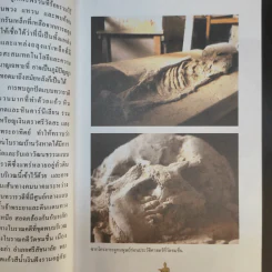 สุโขทัย - ชาติชาย มุกสง รูปที่ 15