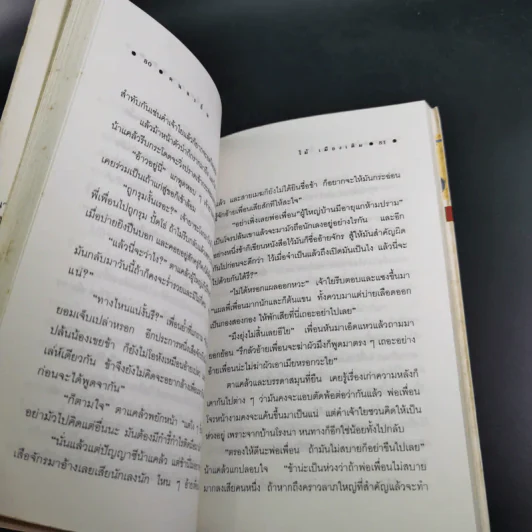 คนละถิ่น - ไม้ เมืองเดิม รูปที่ 12