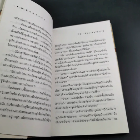 คนละถิ่น - ไม้ เมืองเดิม รูปที่ 11