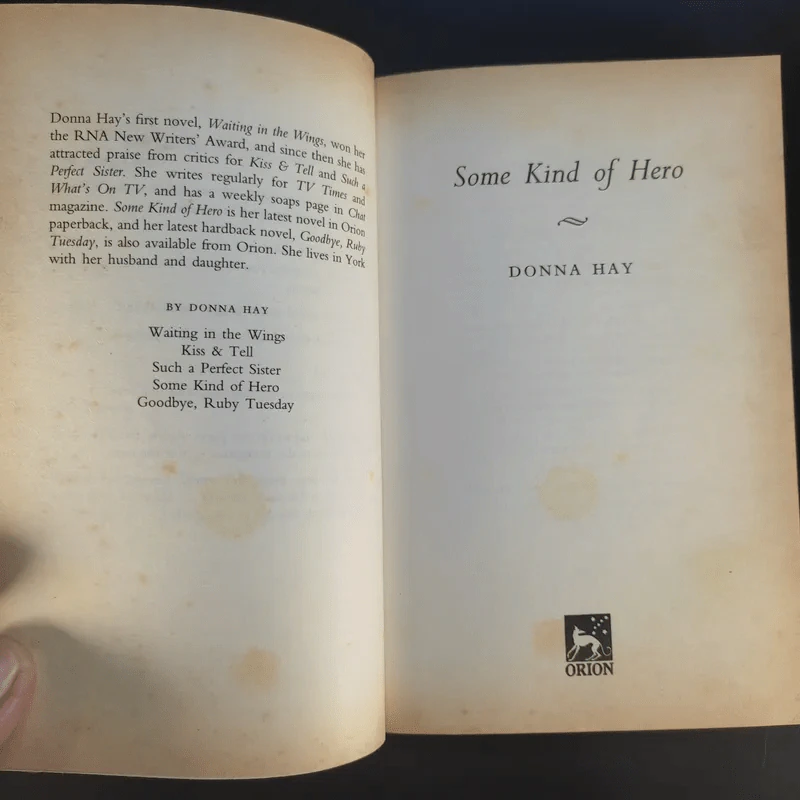 Some Kind of Hero - Donna Hay รูปที่ 8