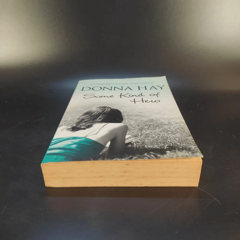 Some Kind of Hero - Donna Hay รูปที่ 3