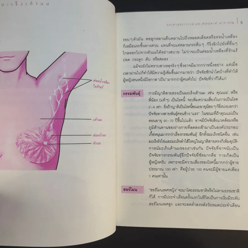 มะเร็งเต้านม เจาะลึกวิธีวินิจฉัยและแผนการรักษาทุกขั้นตอน รูปที่ 13