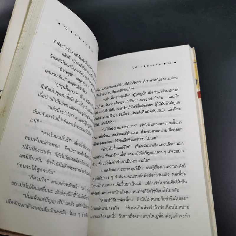 คนละถิ่น - ไม้ เมืองเดิม รูปที่ 12