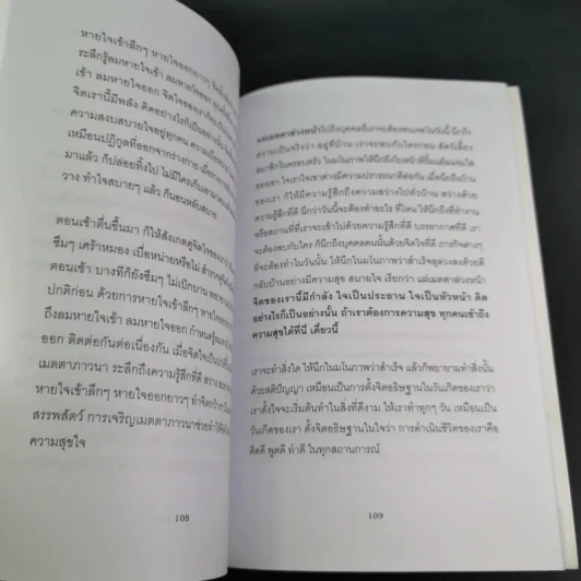 วัคซีนธรรมะ - พระอาจารย์มิตซูโอะ คเวสโก รูปที่ 12