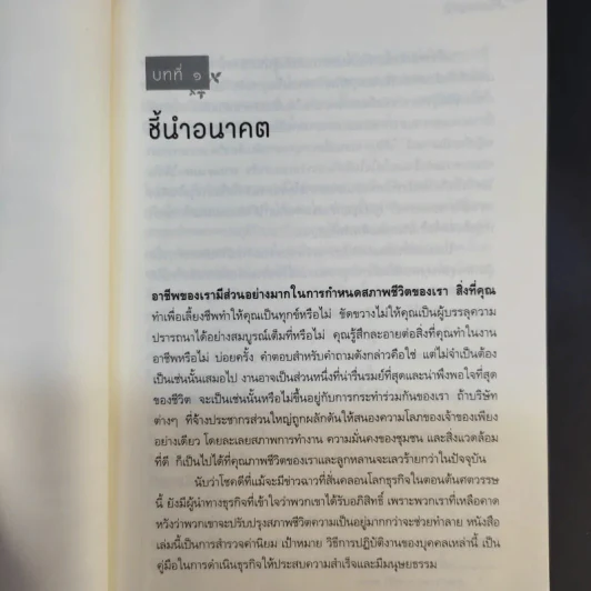 ธุรกิจที่ดีงาม Good Business - มิฮาย ชิกเซนต์มิฮายยี รูปที่ 13