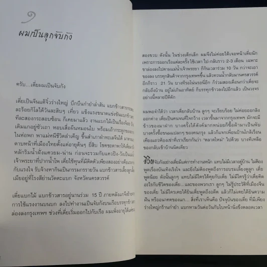 ไอ้เพ้ง จากลูกจับกัง สู่รัฐมนตรี - พงษ์ศักดิ์ รักตพงศ์ไพศาล รูปที่ 14