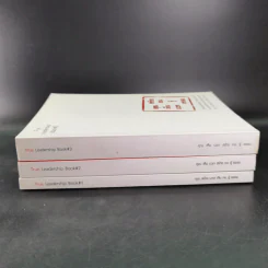 True Leadership Book 1+3 คุณเห็นบวกสร้างคนรู้ธรรม เล่ม 1-3 รูปที่ 3