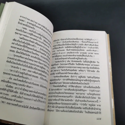เดชานี - ดาวจริยา รูปที่ 13