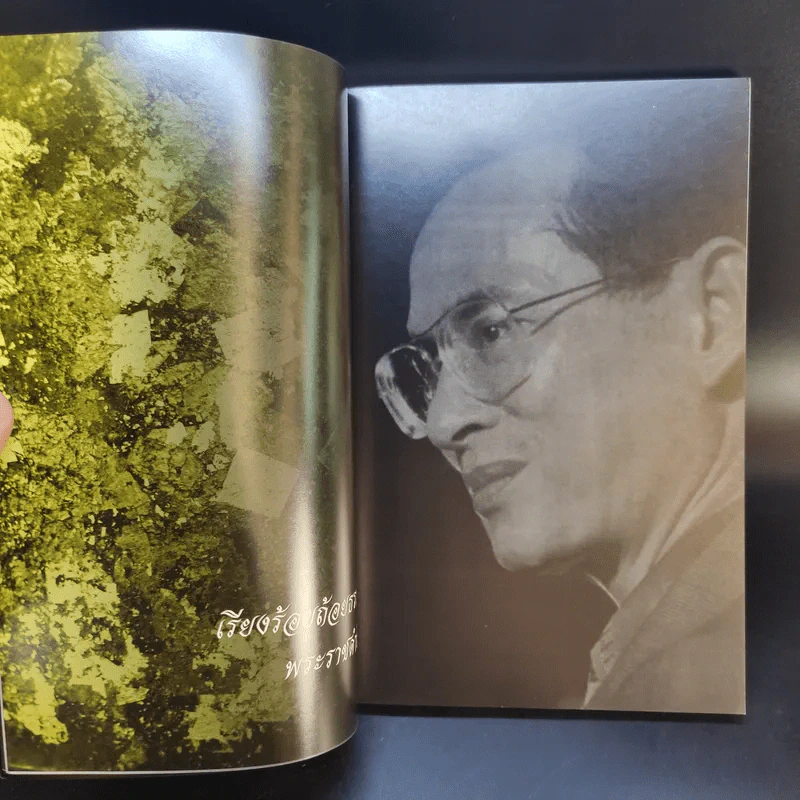 พ่อหลวงพ่อของแผ่นดิน รูปที่ 13