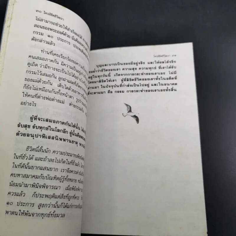 ใครลิขิตชีวิตเรา - ประณีต ก้องสมุทร รูปที่ 11