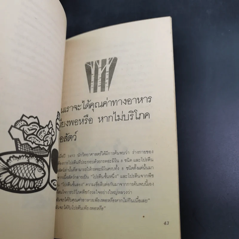 อาหารสู่ชีวิตใหม่ รูปที่ 13
