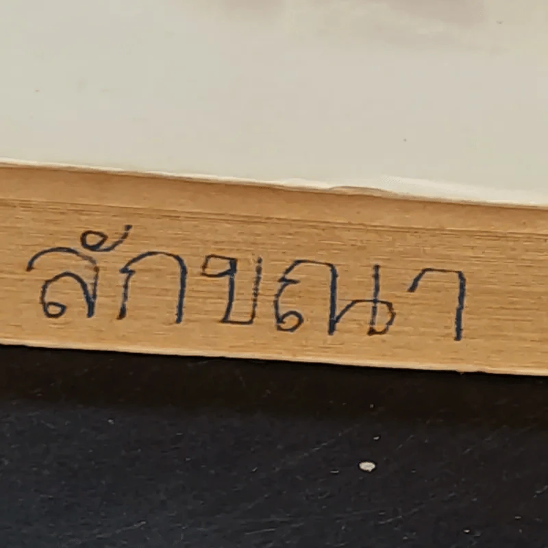 สี่เจ้าฟ้า - ลาวัณย์ โชตามระ รูปที่ 6