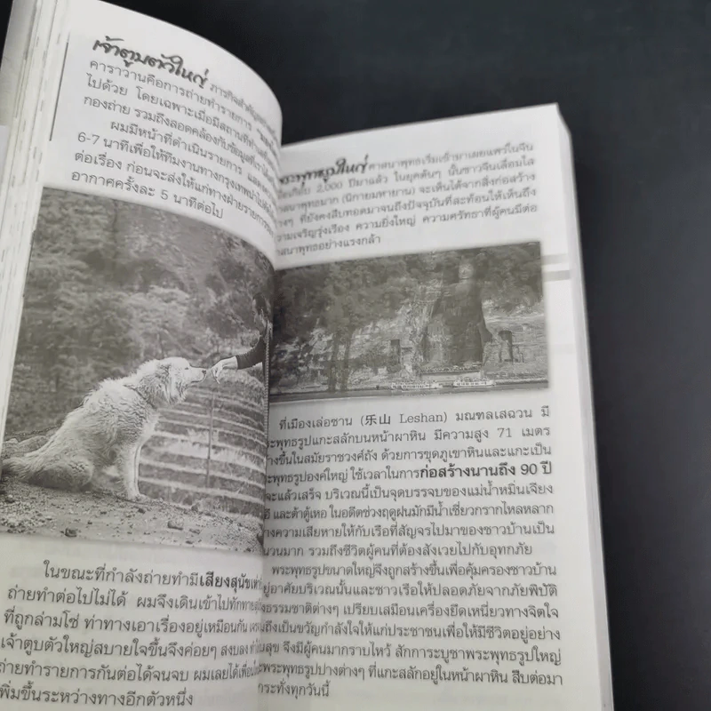 ชีวิตใหม่ 2 - วิกรม กรมดิษฐ์ รูปที่ 13
