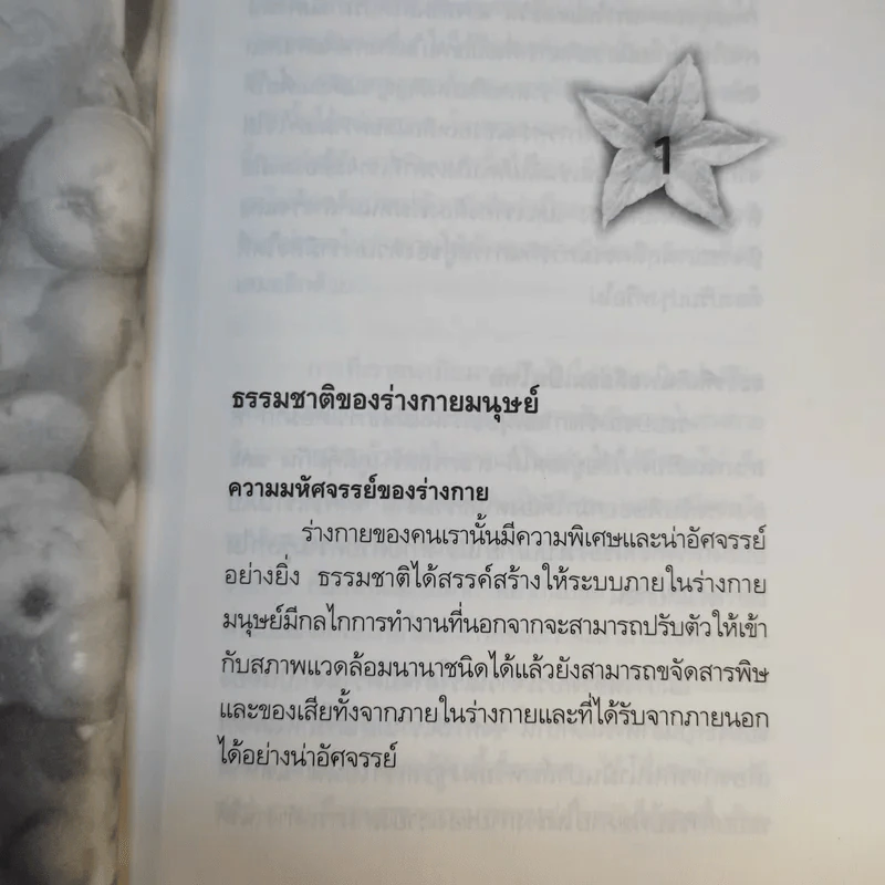 กินอย่างฤาษี ล้างพิษ พิชิตโรค - อ.บูรพา ผดุงไทย รูปที่ 14