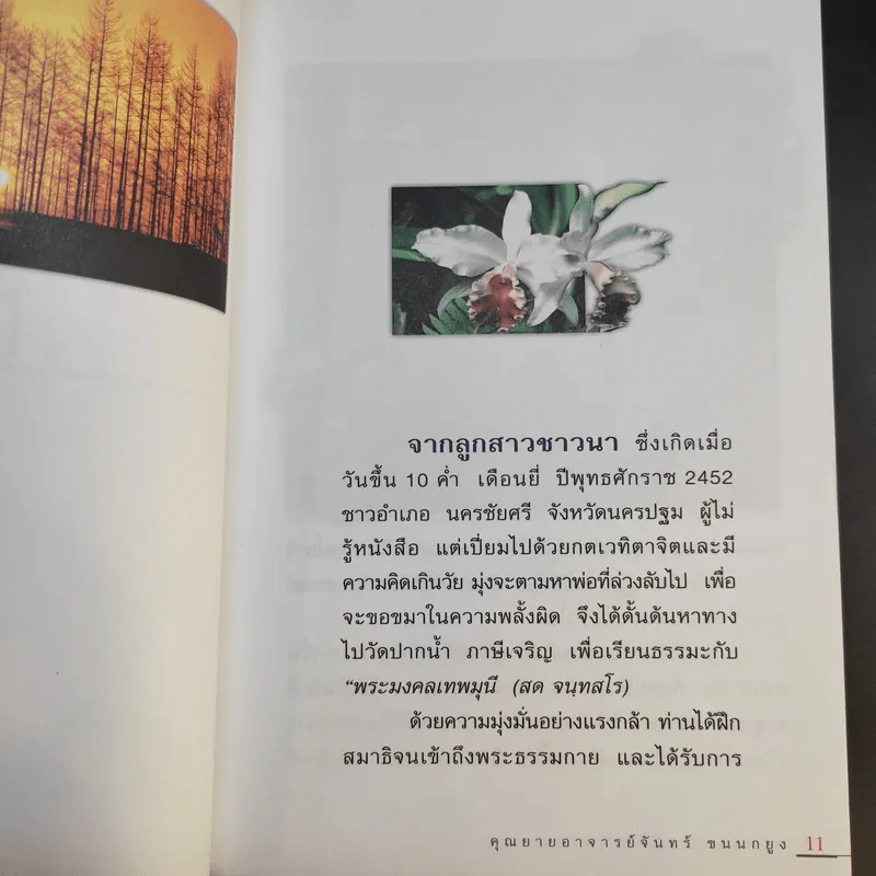 มหัศจรรย์ไดอารี่ - คุณยายอาจารย์จันทร์ ขนนกยูง รูปที่ 11