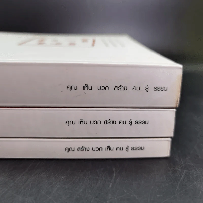 True Leadership Book 1+3 คุณเห็นบวกสร้างคนรู้ธรรม เล่ม 1-3 รูปที่ 5