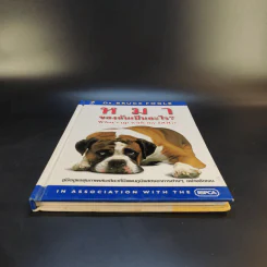 หมาของฉันเป็นอะไร What's up with my Dog? รูปที่ 4