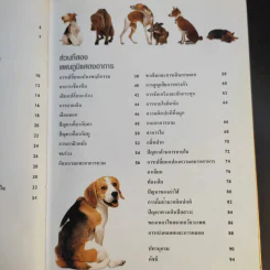 หมาของฉันเป็นอะไร What's up with my Dog? รูปที่ 11