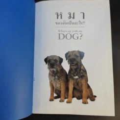 หมาของฉันเป็นอะไร What's up with my Dog? รูปที่ 8