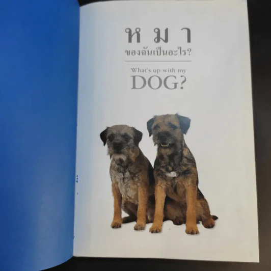 หมาของฉันเป็นอะไร What's up with my Dog? รูปที่ 8