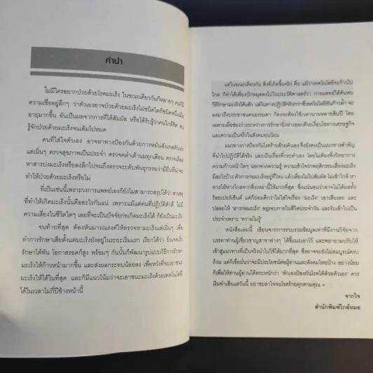 100 สารก่อมะเร็งต้องเสี่ยง - เอื้อมพร สกุลแก้ว (อนุสรณ์งานพระราชทานเพลิงศพ คุณแม่สุภาภรภณ์ อินตะนก) รูปที่ 11