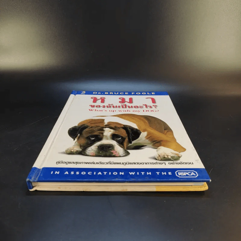 หมาของฉันเป็นอะไร What's up with my Dog? รูปที่ 4