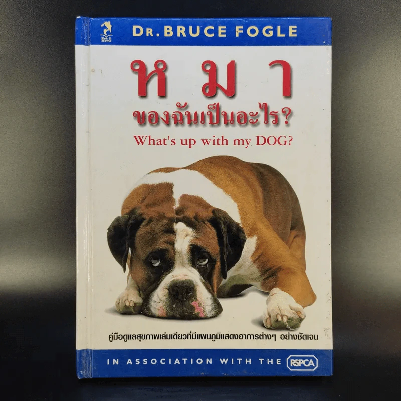 หมาของฉันเป็นอะไร What's up with my Dog? รูปที่ 1