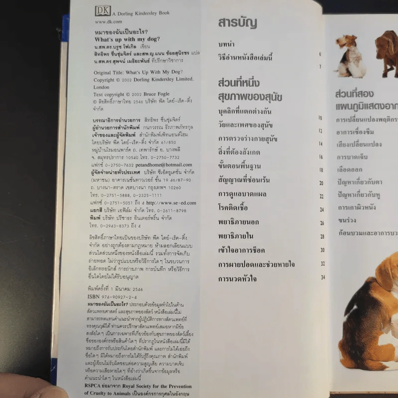 หมาของฉันเป็นอะไร What's up with my Dog? รูปที่ 10