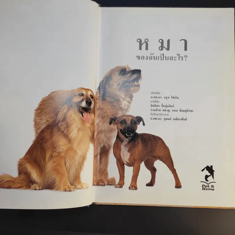 หมาของฉันเป็นอะไร What's up with my Dog? รูปที่ 9