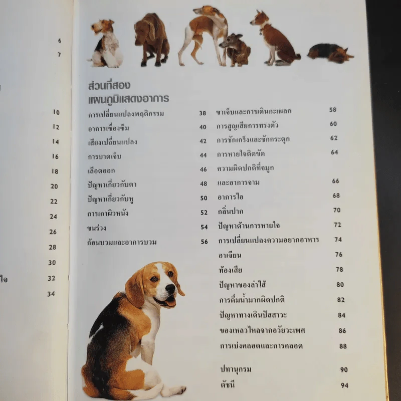หมาของฉันเป็นอะไร What's up with my Dog? รูปที่ 11