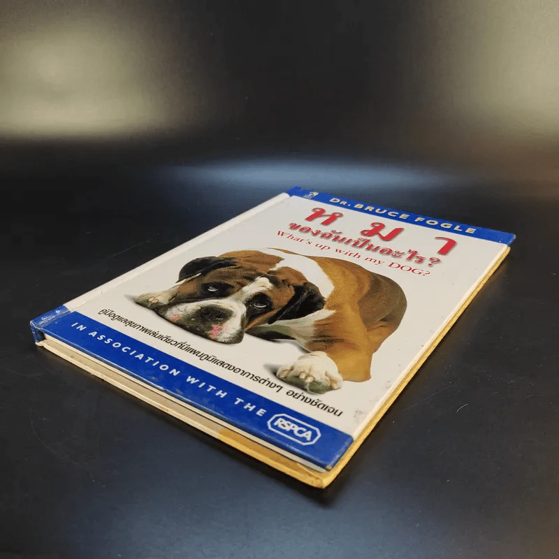 หมาของฉันเป็นอะไร What's up with my Dog? รูปที่ 7