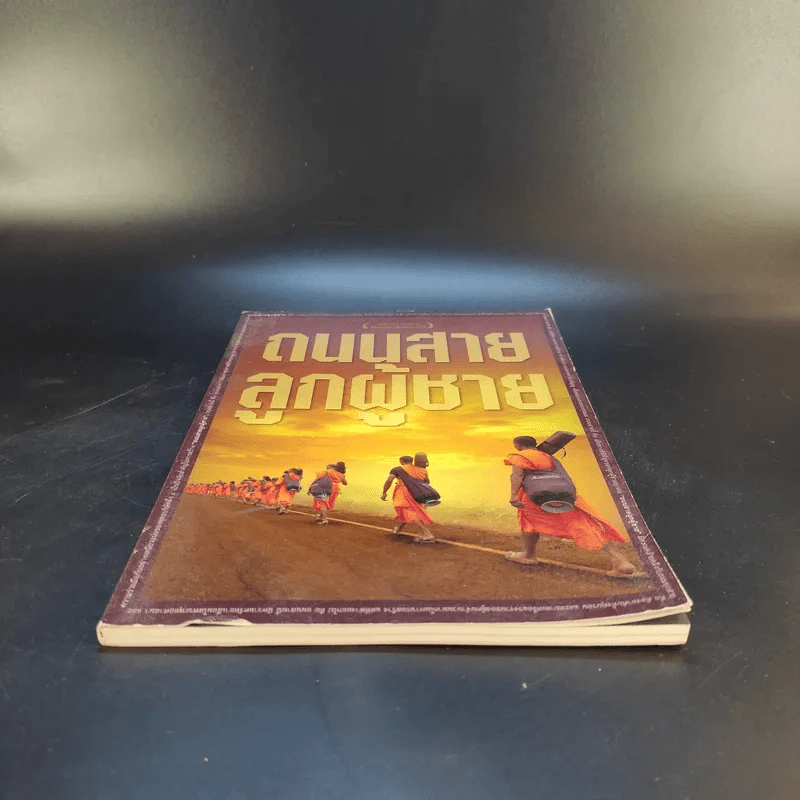 ถนนสายลูกผู้ชาย รูปที่ 4