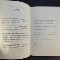 การเดินทางที่ปราศจากผู้เดิน - Camouflage รูปที่ 9