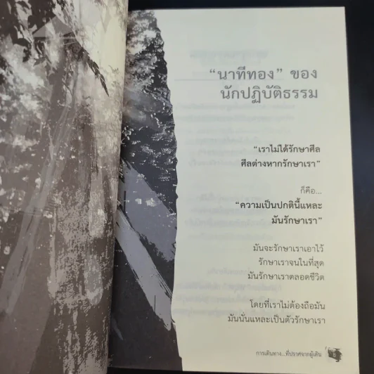 การเดินทางที่ปราศจากผู้เดิน - Camouflage รูปที่ 11