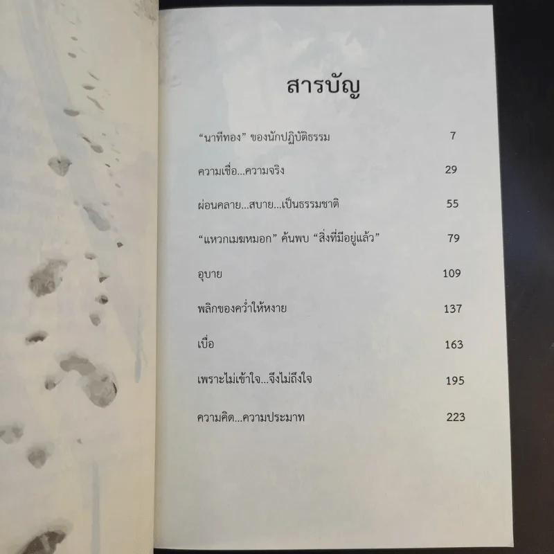 การเดินทางที่ปราศจากผู้เดิน - Camouflage รูปที่ 10