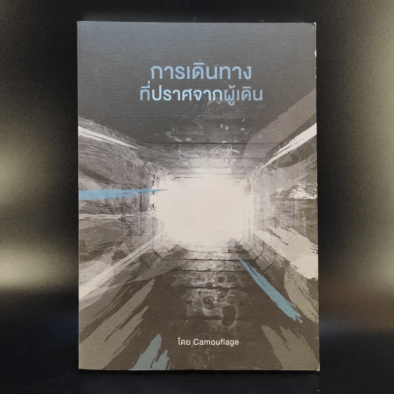 การเดินทางที่ปราศจากผู้เดิน - Camouflage รูปที่ 1