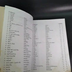 ธงชาติทั่วโลก 194 ชาติ รูปที่ 20
