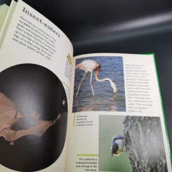 Bat & Bird - Rod Theodorou and Carole Telford รูปที่ 11