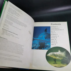 Shark & Dolphin - Rod Theodorou and Carole Telford รูปที่ 10