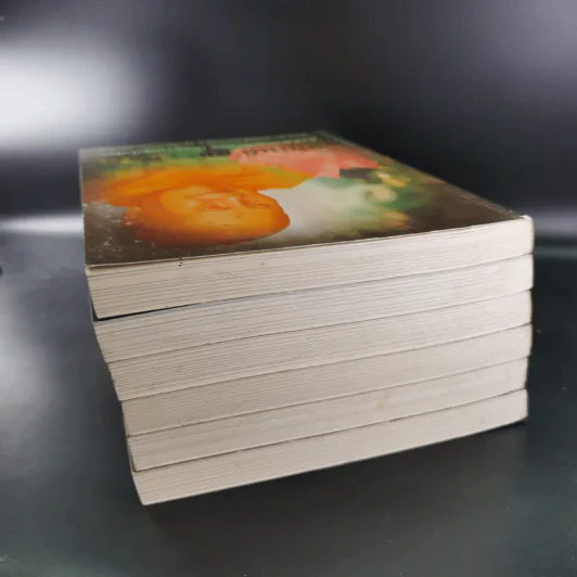 หนังสือธรรมะ หลวงพ่อปัญญานันทภิกขุ ขายรวม 6 เล่ม รูปที่ 5