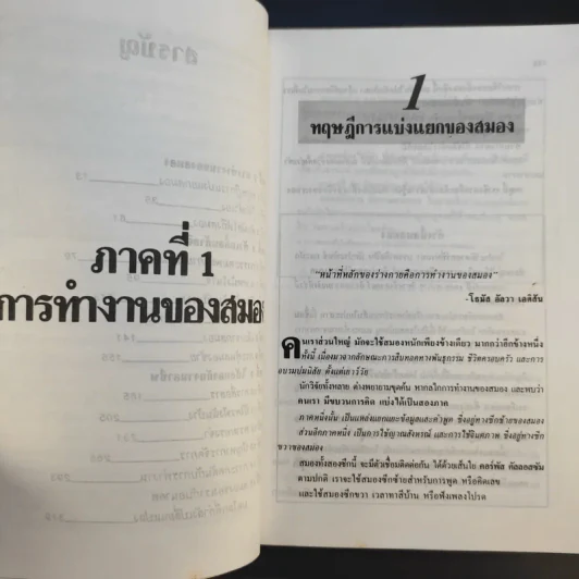 เก่ง Whole Brain Thinking - พินทุสร ติวุตานนท์ รูปที่ 12