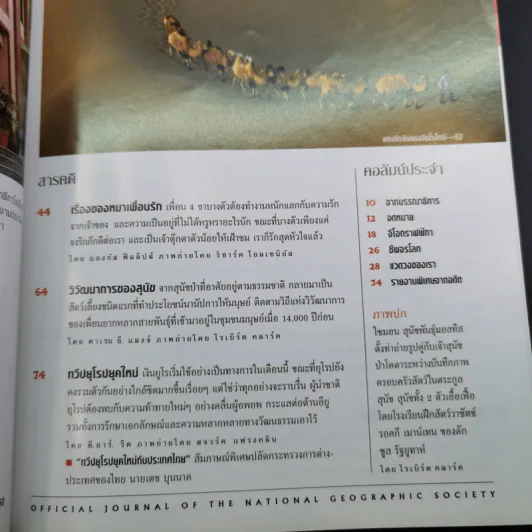 National Geographic ปีที่ 1 ฉบับที่ 6 ม.ค.2545 หมาป่าสู่หมาบ้าน รูปที่ 8